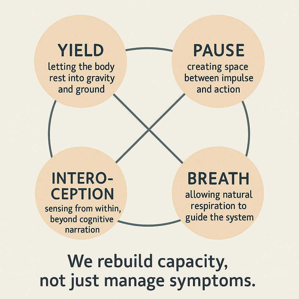 0B0F01FA 8041 488D B99A C610DEC27A1D From Burnout to Balance: A Somatic Path Back to You